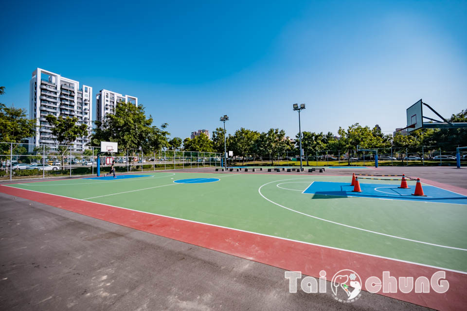 台中北屯景點〡南興公園〡超夯米奇樹拍照打卡, 大樹原野遊戲場玩耍, 唯美落羽松大道當主角, 台中親子特色公園