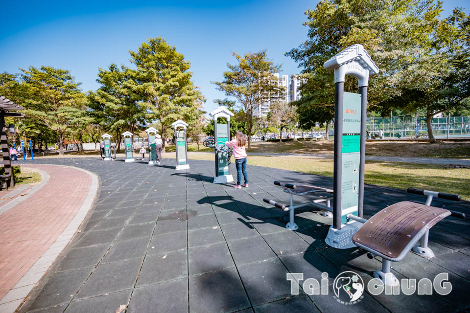 台中北屯景點〡南興公園〡超夯米奇樹拍照打卡, 大樹原野遊戲場玩耍, 唯美落羽松大道當主角, 台中親子特色公園