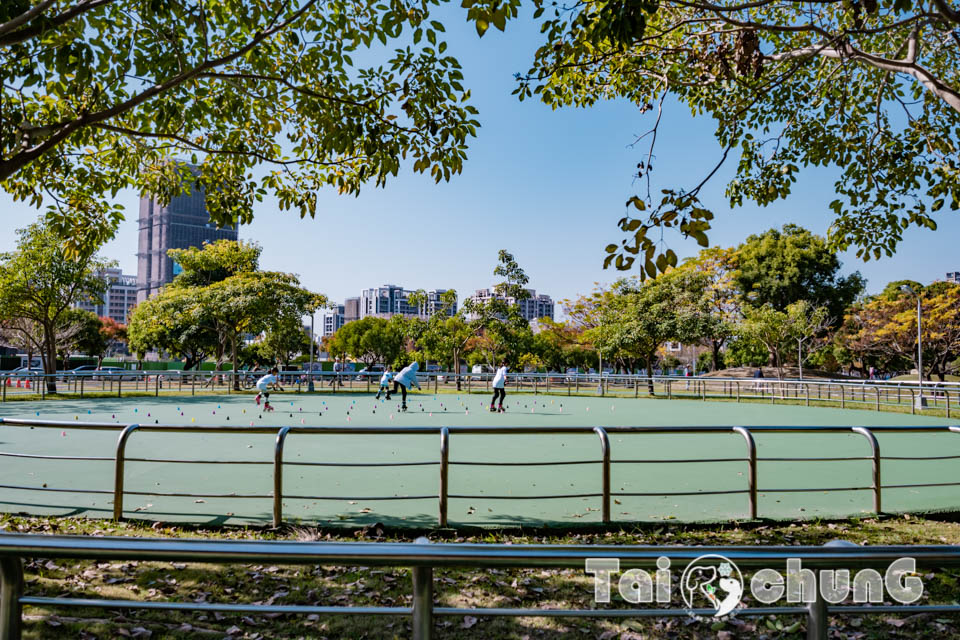 台中北屯景點〡南興公園〡超夯米奇樹拍照打卡, 大樹原野遊戲場玩耍, 唯美落羽松大道當主角, 台中親子特色公園