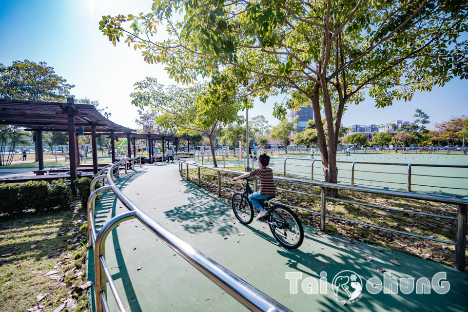 台中北屯景點〡南興公園〡超夯米奇樹拍照打卡, 大樹原野遊戲場玩耍, 唯美落羽松大道當主角, 台中親子特色公園