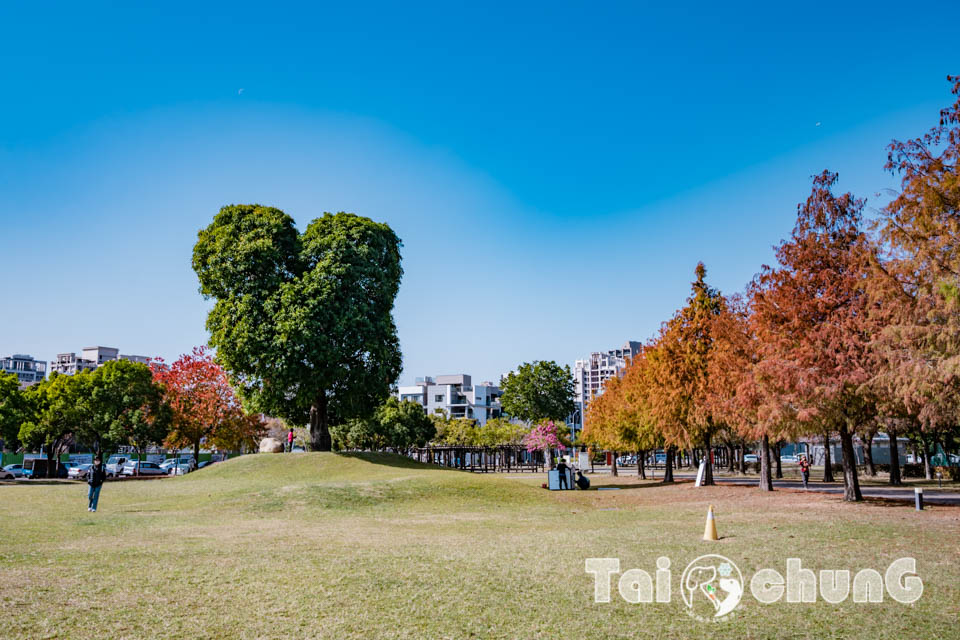 台中北屯景點〡南興公園〡超夯米奇樹拍照打卡, 大樹原野遊戲場玩耍, 唯美落羽松大道當主角, 台中親子特色公園