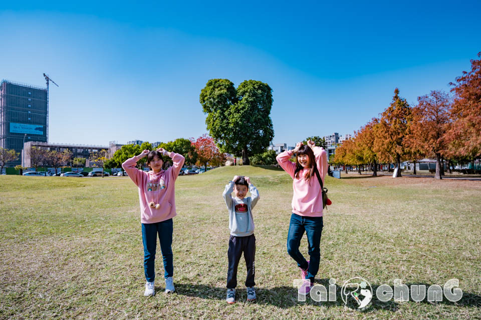 台中北屯景點〡南興公園〡超夯米奇樹拍照打卡, 大樹原野遊戲場玩耍, 唯美落羽松大道當主角, 台中親子特色公園