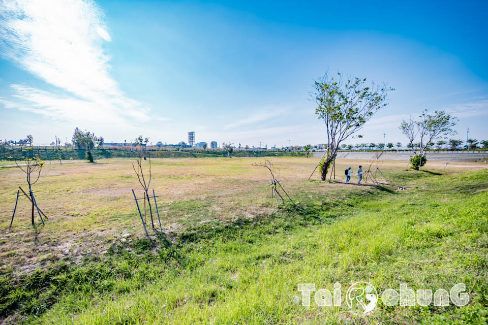 台中南屯景點〡樂田公園〡台中楓樹腳公園, 彩虹賽道起跑, High玩磨石子滑梯, 草原廣場放風箏, 追風滑索別錯過, 穿山甲與水牛伴遊, 台中特色公園