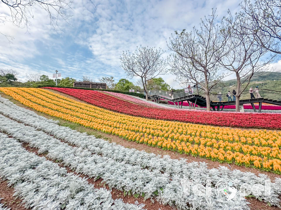 台北北投景點〡北投社三層崎公園〡三層崎花海, 來自大冠鷲的守護, 花願同行彩色浪花海, 童話風愛心鞦韆, 紫色浪漫薰衣草 @小菲親子玩樂生活
