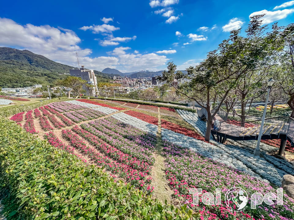 台北北投景點〡北投社三層崎公園〡2025三層崎花海, 來自大冠鷲的守護, 漫遊彩色浪花海, 童話風愛心鞦韆, 紫色浪漫薰衣草