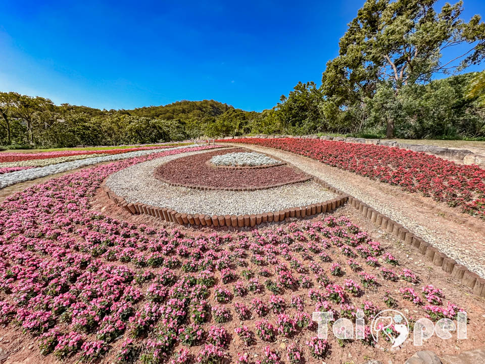 台北北投景點〡北投社三層崎公園〡2025三層崎花海, 來自大冠鷲的守護, 漫遊彩色浪花海, 童話風愛心鞦韆, 紫色浪漫薰衣草