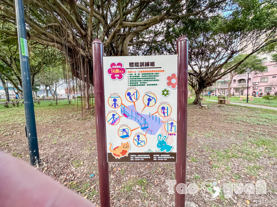 桃園平鎮景點〡廣仁公園〡貓狗大戰遊戲場, 小動物花園嬉戲, 貓咪沙池玩沙樂, 特色親子公園