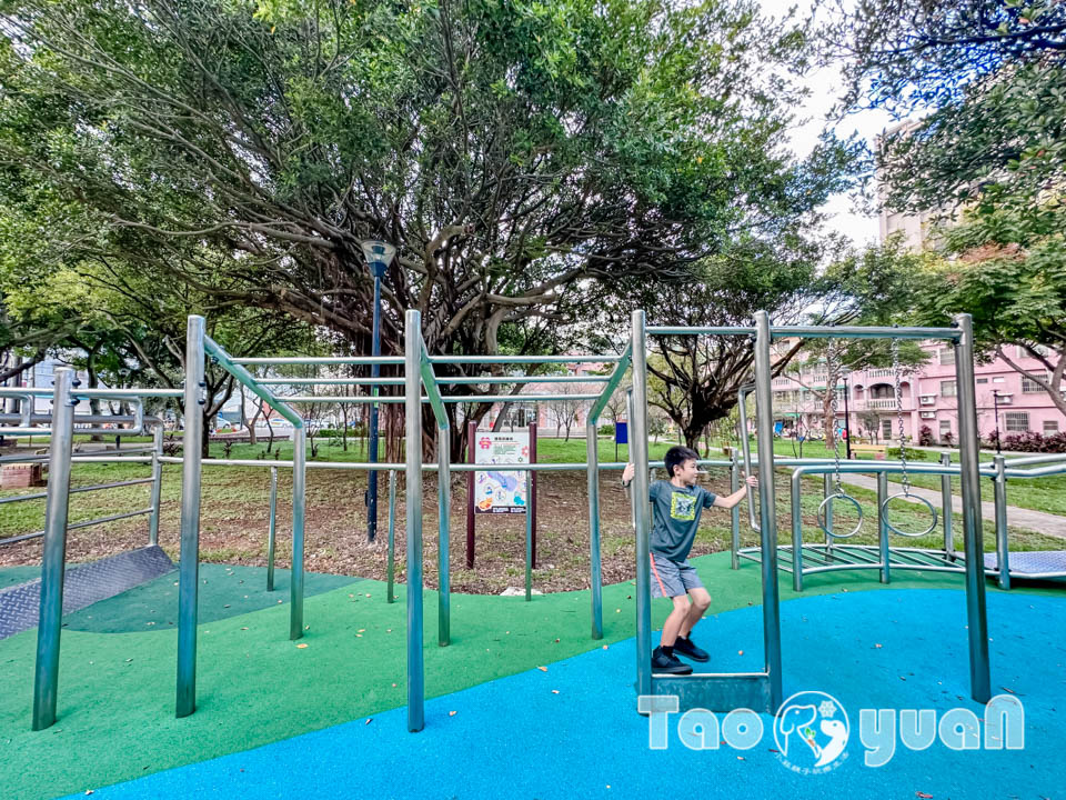 桃園平鎮景點〡廣仁公園〡貓狗大戰遊戲場, 小動物花園嬉戲, 貓咪沙池玩沙樂, 特色親子公園