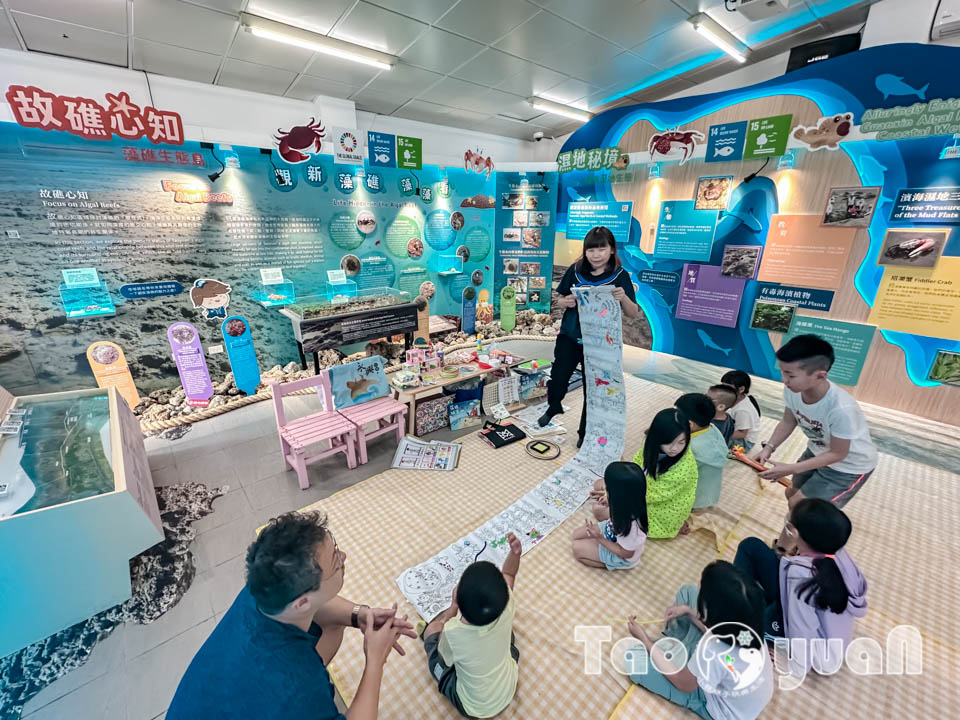 IMG_4340 桃園觀音景點〡觀新藻礁生態區〡全臺最大藻礁地形, 近距離觀察彈塗魚和螃蟹大軍, 千年藻礁認識與探索, 繪本故事說演 & 濱海伯公巡禮, 免費親子體驗活動