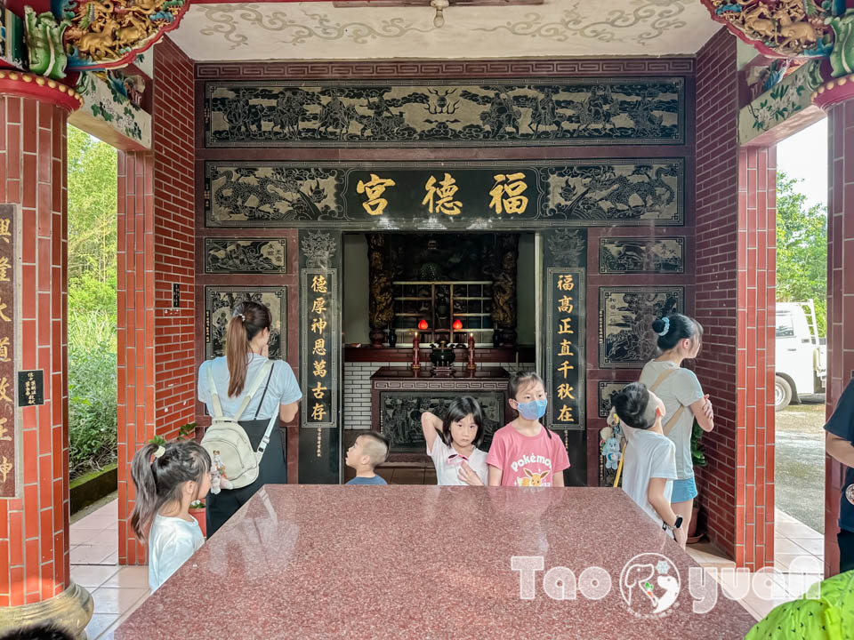 IMG_4441 桃園觀音景點〡觀新藻礁生態區〡全臺最大藻礁地形, 近距離觀察彈塗魚和螃蟹大軍, 千年藻礁認識與探索, 繪本故事說演 & 濱海伯公巡禮, 免費親子體驗活動