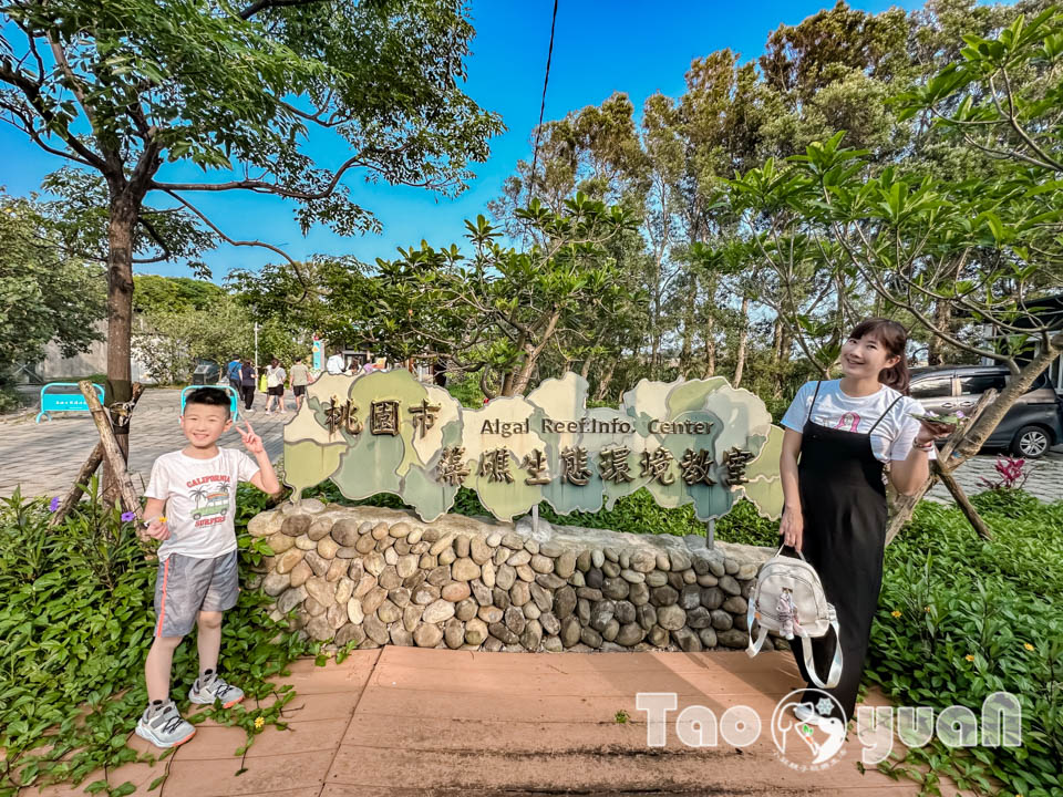 IMG_4464 桃園觀音景點〡觀新藻礁生態區〡全臺最大藻礁地形, 近距離觀察彈塗魚和螃蟹大軍, 千年藻礁認識與探索, 繪本故事說演 & 濱海伯公巡禮, 免費親子體驗活動