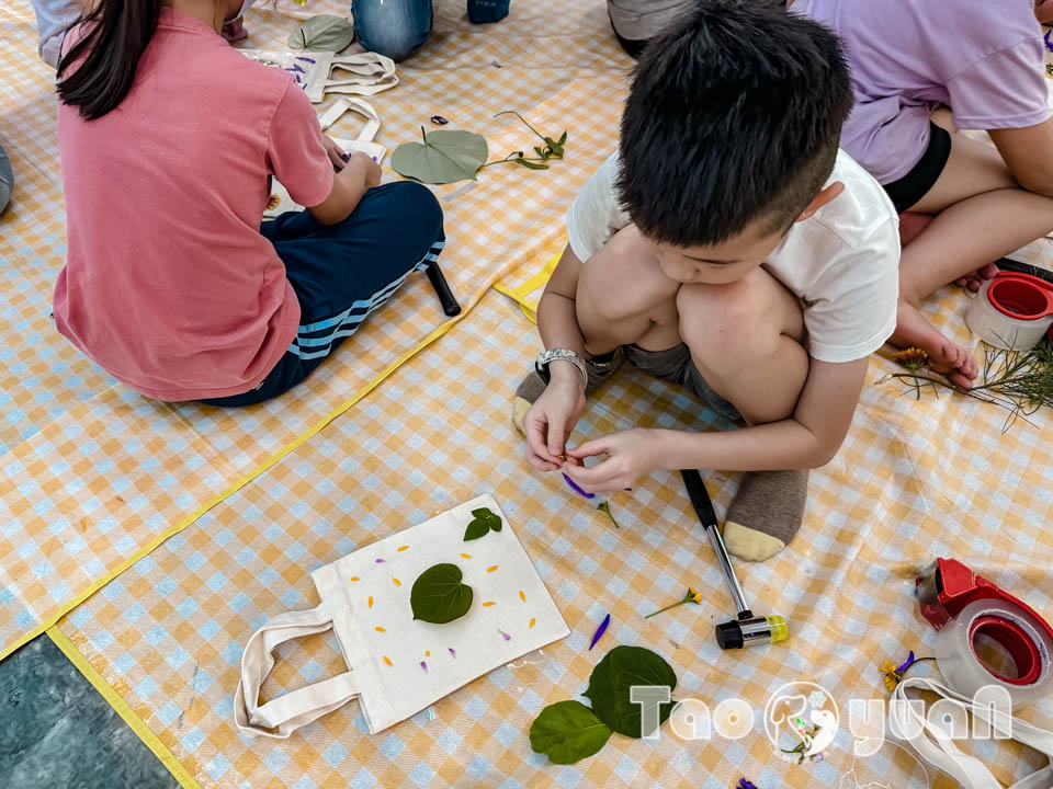 IMG_4477 桃園觀音景點〡觀新藻礁生態區〡全臺最大藻礁地形, 近距離觀察彈塗魚和螃蟹大軍, 千年藻礁認識與探索, 繪本故事說演 & 濱海伯公巡禮, 免費親子體驗活動