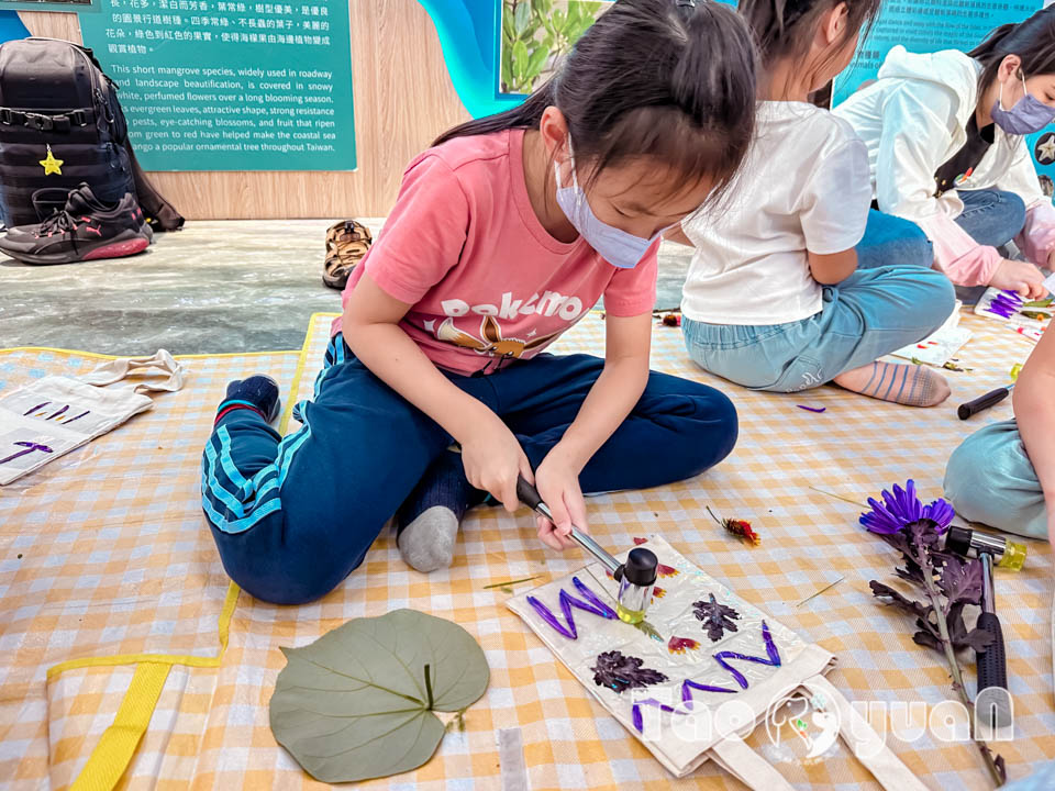 IMG_4481 桃園觀音景點〡觀新藻礁生態區〡全臺最大藻礁地形, 近距離觀察彈塗魚和螃蟹大軍, 千年藻礁認識與探索, 繪本故事說演 & 濱海伯公巡禮, 免費親子體驗活動