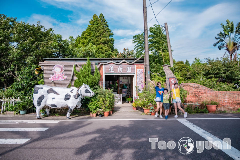 DSC_5731 桃園觀音景點〡蓮荷園休閒農場〡體驗六師弟大王蓮輕功水上漂, 數十種花卉造景美拍加分, 特色美味南瓜蓮子冰