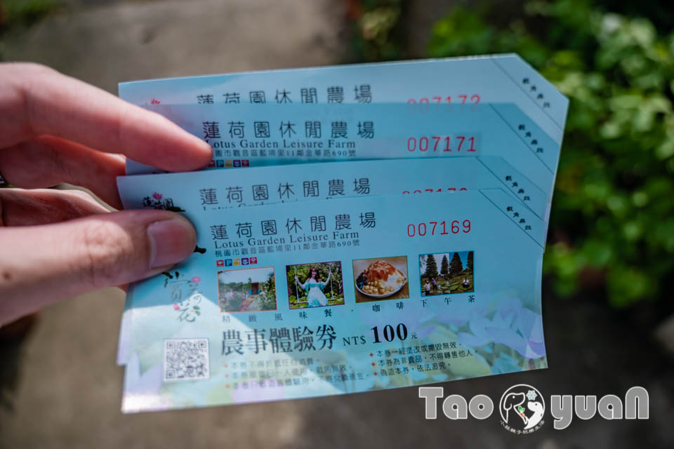 DSC_5736 桃園觀音景點〡蓮荷園休閒農場〡體驗六師弟大王蓮輕功水上漂, 數十種花卉造景美拍加分, 特色美味南瓜蓮子冰