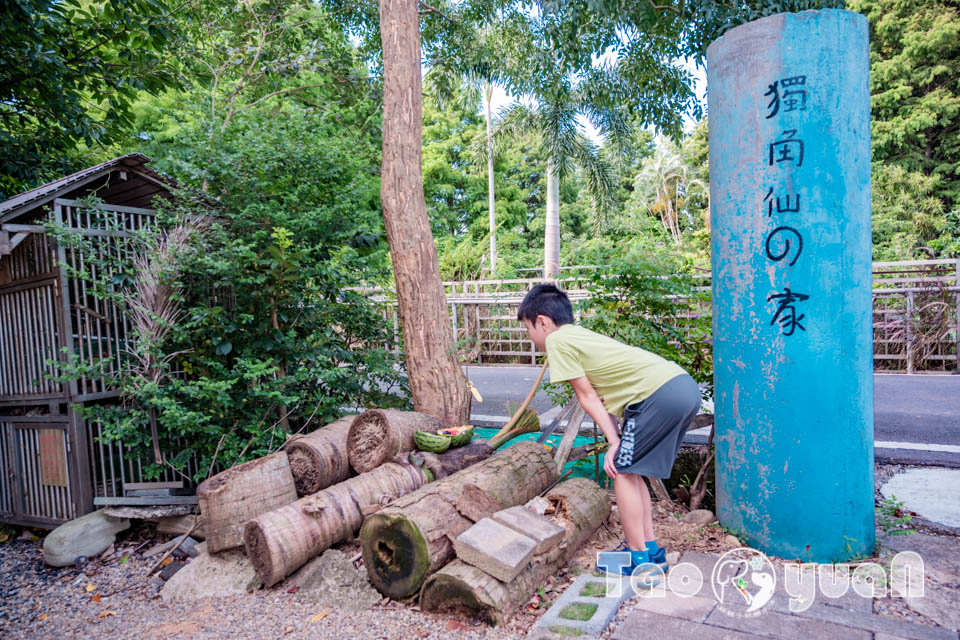 DSC_5777 桃園觀音景點〡蓮荷園休閒農場〡體驗六師弟大王蓮輕功水上漂, 數十種花卉造景美拍加分, 特色美味南瓜蓮子冰