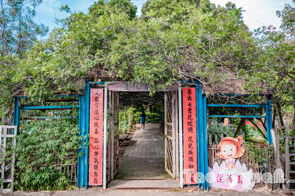 DSC_5791 桃園觀音景點〡蓮荷園休閒農場〡體驗六師弟大王蓮輕功水上漂, 數十種花卉造景美拍加分, 特色美味南瓜蓮子冰