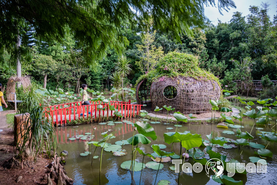 DSC_5792 桃園觀音景點〡蓮荷園休閒農場〡體驗六師弟大王蓮輕功水上漂, 數十種花卉造景美拍加分, 特色美味南瓜蓮子冰