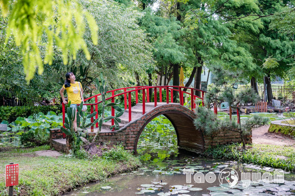 DSC_5809 桃園觀音景點〡蓮荷園休閒農場〡體驗六師弟大王蓮輕功水上漂, 數十種花卉造景美拍加分, 特色美味南瓜蓮子冰