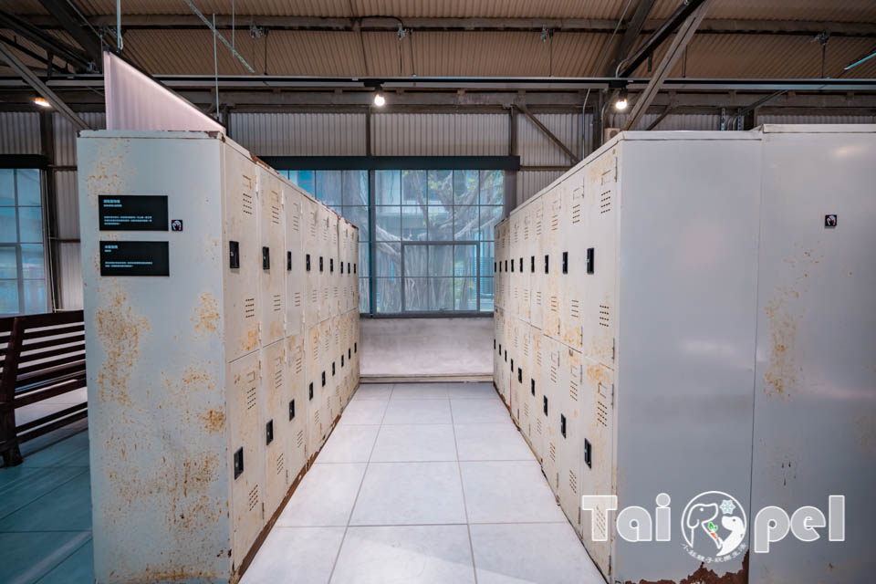 台北信義景點〡國家鐵道博物館〡永垂不朽的鐵道故事, 感受記憶的溫度, 鐵道明星追追追, 假日限定藍皮柴油列車乘車體驗