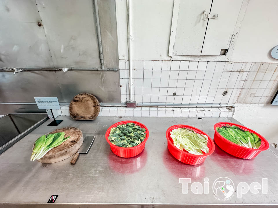 台北信義景點〡國家鐵道博物館〡永垂不朽的鐵道故事, 感受記憶的溫度, 鐵道明星追追追, 假日限定藍皮柴油列車乘車體驗