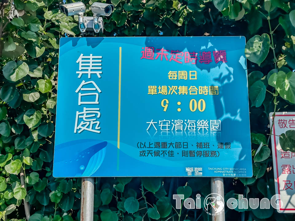 IMG_7506 台中大安景點〡大安濱海樂園〡大安海水浴場, 暑假熱門玩沙戲水天地, 海洋風特色造景, 近30種螃蟹遊走周邊海域, 漫步觀景平台享受無價的放鬆時刻