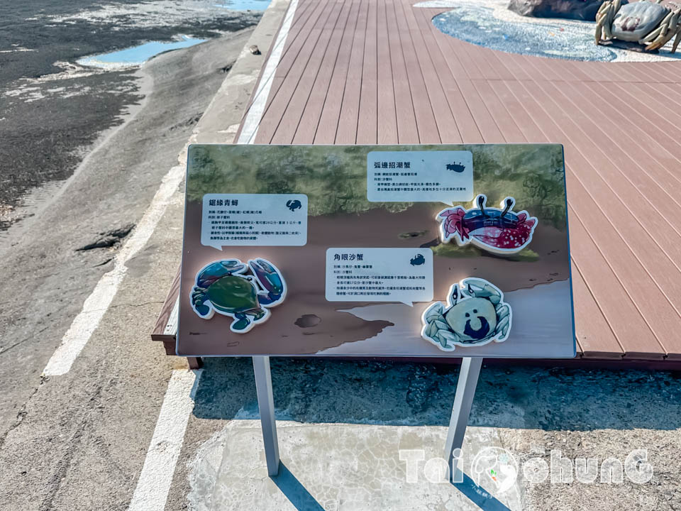 IMG_7544 台中大安景點〡大安濱海樂園〡大安海水浴場, 暑假熱門玩沙戲水天地, 海洋風特色造景, 近30種螃蟹遊走周邊海域, 漫步觀景平台享受無價的放鬆時刻