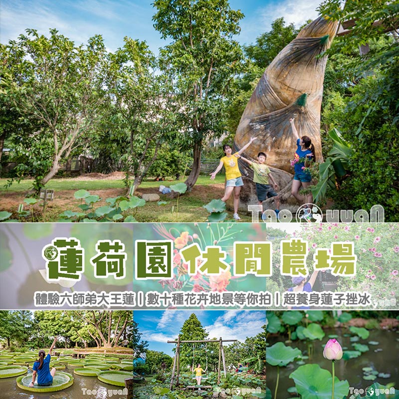 桃園觀音景點〡蓮荷園休閒農場〡體驗六師弟大王蓮輕功水上漂, 數十種花卉造景美拍加分, 特色美味南瓜蓮子冰 @小菲親子玩樂生活
