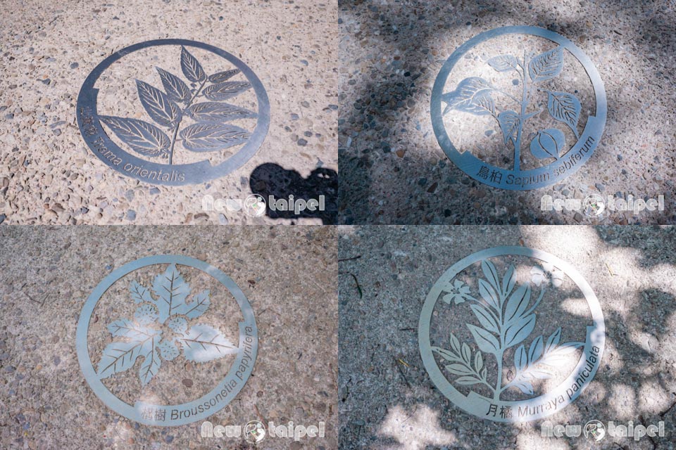 新北林口景點〡國家檔案館〡島讀．我們的故事, 刻骨銘心的那段曾經, 免門票參觀體驗, 寓教於樂親子展館, 附設輕食咖啡廳, 順遊小熊公園