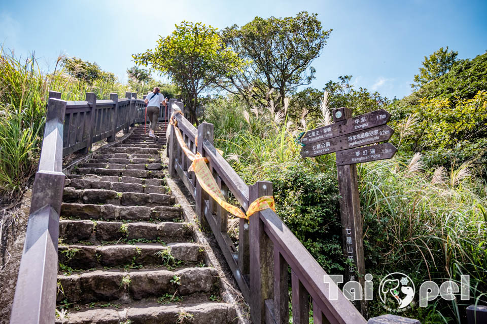 台北市區景點〡七星山步道〡台北第一高峰七星山主峰, 七星山小油坑步道, 北部賞秋芒好去處, 神秘秘境夢幻湖