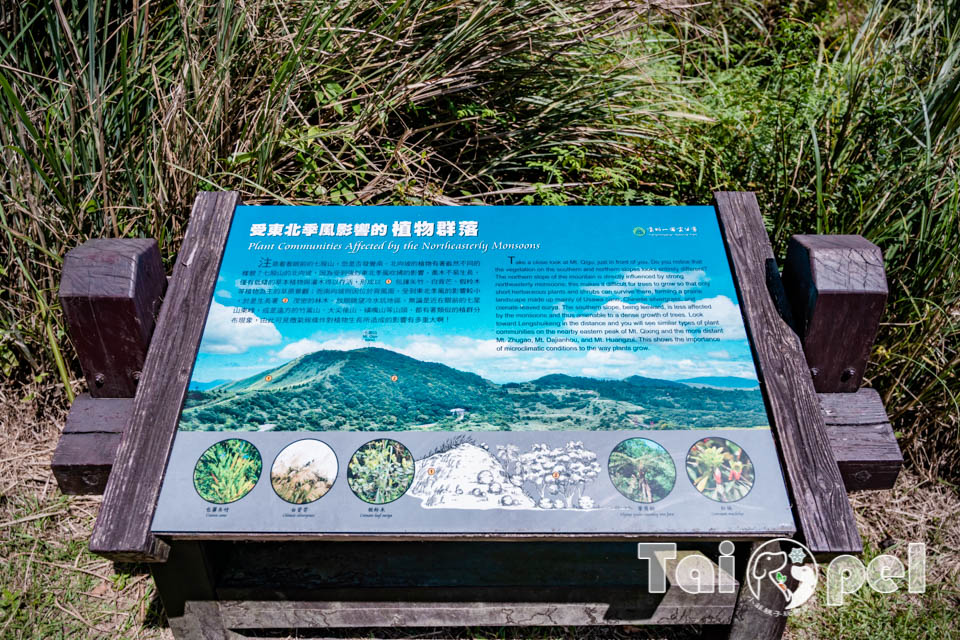 台北市區景點〡七星山步道〡台北第一高峰七星山主峰, 七星山小油坑步道, 北部賞秋芒好去處, 神秘秘境夢幻湖