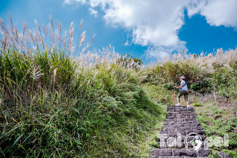 台北市區景點〡七星山步道〡台北第一高峰七星山主峰, 七星山小油坑步道, 北部賞秋芒好去處, 神秘秘境夢幻湖