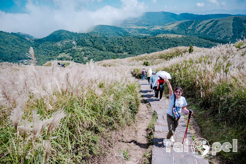 台北市區景點〡七星山步道〡台北第一高峰七星山主峰, 七星山小油坑步道, 北部賞秋芒好去處, 神秘秘境夢幻湖