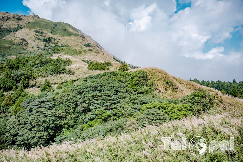 台北市區景點〡七星山步道〡台北第一高峰七星山主峰, 七星山小油坑步道, 北部賞秋芒好去處, 神秘秘境夢幻湖