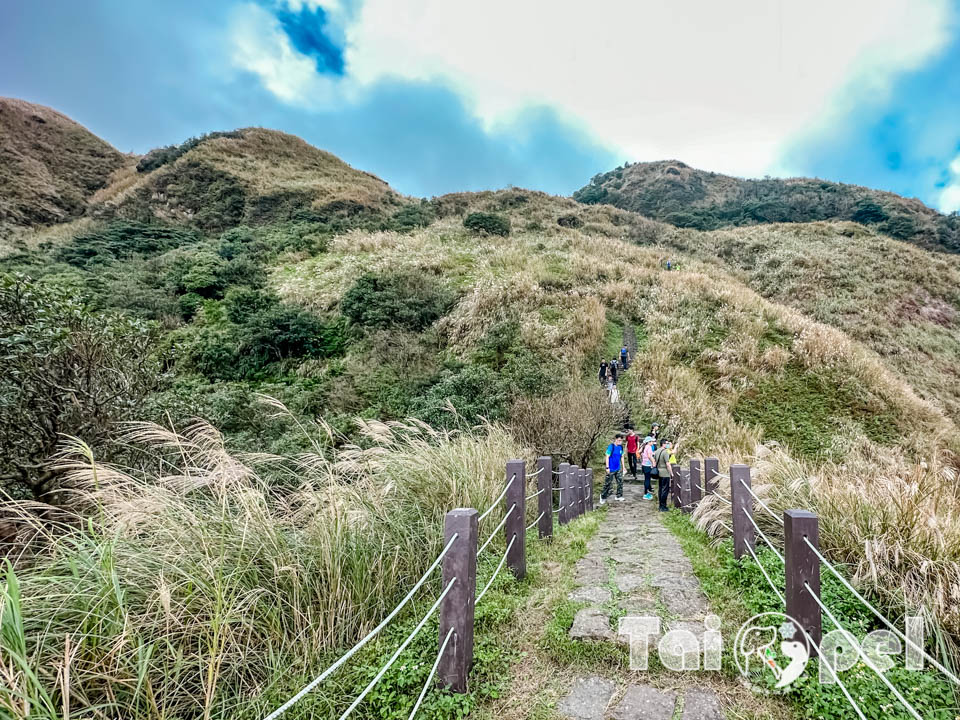 台北市區景點〡七星山步道〡台北第一高峰七星山主峰, 七星山小油坑步道, 北部賞秋芒好去處, 神秘秘境夢幻湖