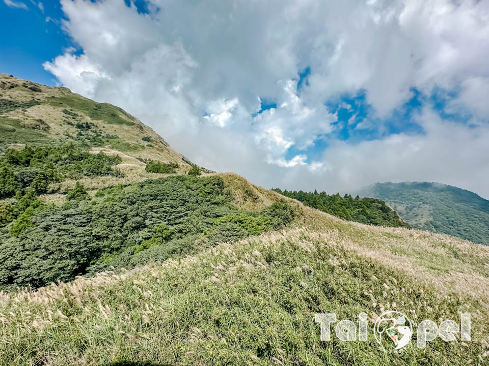 台北市區景點〡七星山步道〡台北第一高峰七星山主峰, 七星山小油坑步道, 北部賞秋芒好去處, 神秘秘境夢幻湖