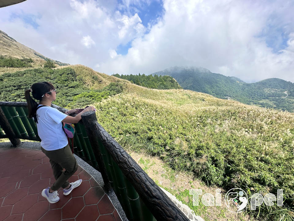 台北市區景點〡七星山步道〡台北第一高峰七星山主峰, 七星山小油坑步道, 北部賞秋芒好去處, 神秘秘境夢幻湖