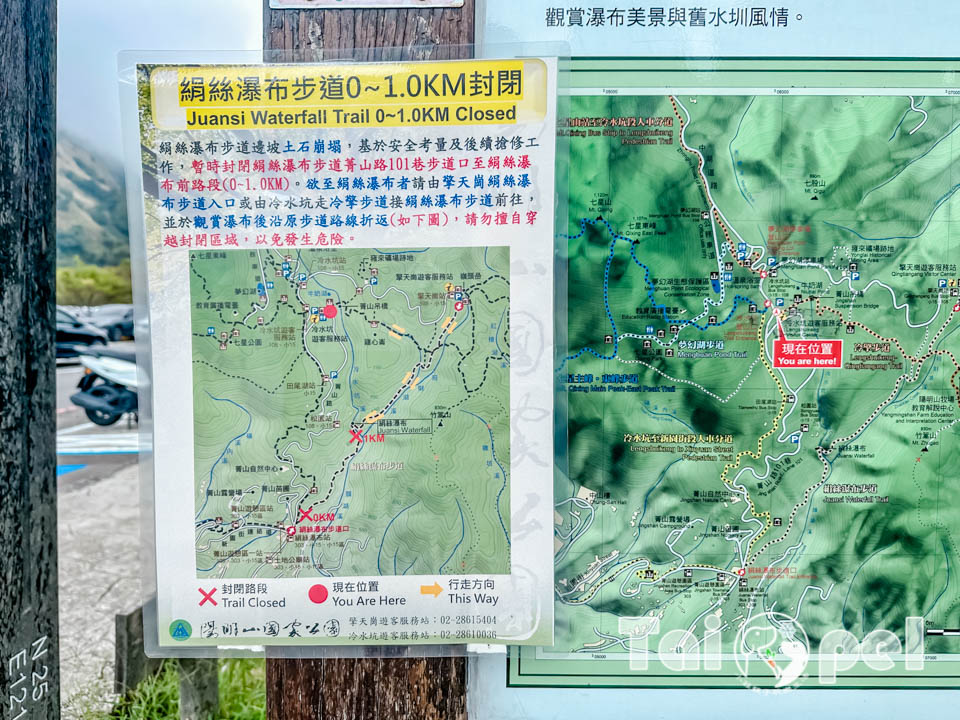 台北士林景點〡陽明山冷擎步道〡連結冷水坑與擎天崗主要步道, 牛奶湖, 落羽松, 菁山吊橋, 太陽谷擎天崗大草原