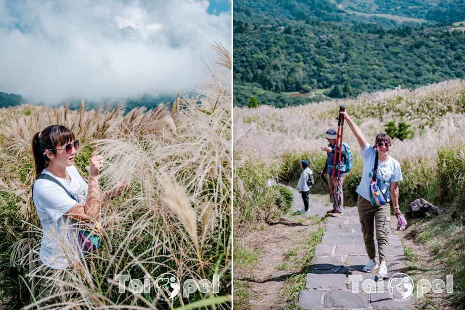 台北市區景點〡七星山步道〡台北第一高峰七星山主峰, 七星山小油坑步道, 北部賞秋芒好去處, 神秘秘境夢幻湖