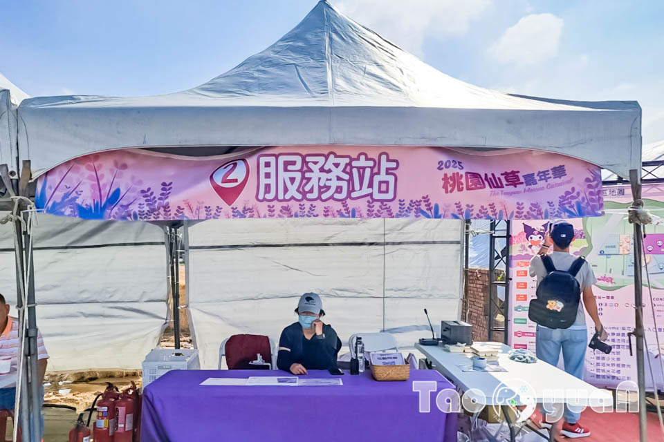 142023-2 桃園楊梅景點〡2025桃園仙草嘉年華〡仙草花浪漫席捲, 酷洛米可愛爆擊, 紫色炫風來襲, 季節限定美景, 高鐵同框超加分, 親子賞花推薦