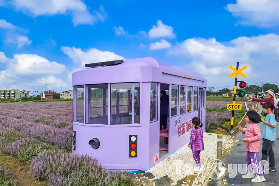 142026-2 桃園楊梅景點〡2025桃園仙草嘉年華〡仙草花浪漫席捲, 酷洛米可愛爆擊, 紫色炫風來襲, 季節限定美景, 高鐵同框超加分, 親子賞花推薦