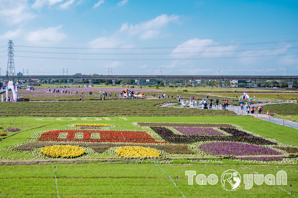 DSC_0886 桃園楊梅景點〡2025桃園仙草嘉年華〡仙草花浪漫席捲, 酷洛米可愛爆擊, 紫色炫風來襲, 季節限定美景, 高鐵同框超加分, 親子賞花推薦