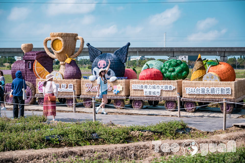 DSC_0910 桃園楊梅景點〡2025桃園仙草嘉年華〡仙草花浪漫席捲, 酷洛米可愛爆擊, 紫色炫風來襲, 季節限定美景, 高鐵同框超加分, 親子賞花推薦