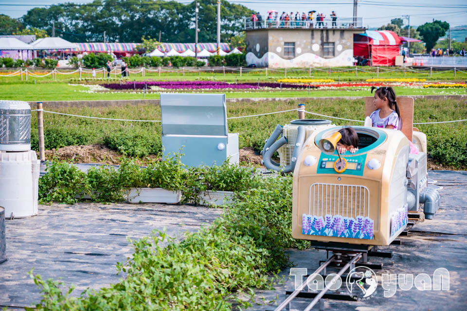 DSC_0919 桃園楊梅景點〡2025桃園仙草嘉年華〡仙草花浪漫席捲, 酷洛米可愛爆擊, 紫色炫風來襲, 季節限定美景, 高鐵同框超加分, 親子賞花推薦