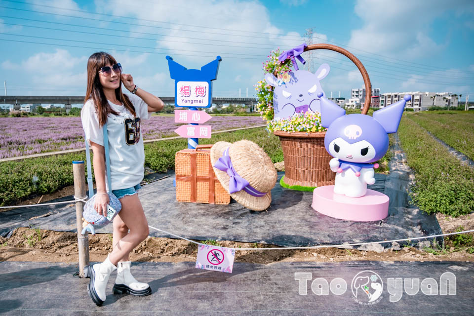 DSC_0931 桃園楊梅景點〡2025桃園仙草嘉年華〡仙草花浪漫席捲, 酷洛米可愛爆擊, 紫色炫風來襲, 季節限定美景, 高鐵同框超加分, 親子賞花推薦