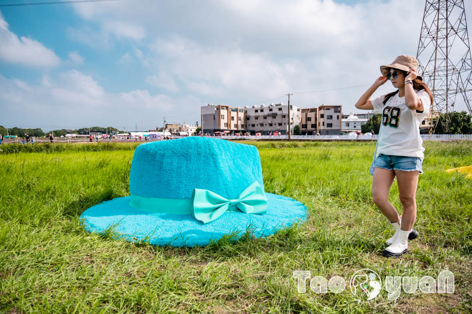 DSC_0964 桃園楊梅景點〡2025桃園仙草嘉年華〡仙草花浪漫席捲, 酷洛米可愛爆擊, 紫色炫風來襲, 季節限定美景, 高鐵同框超加分, 親子賞花推薦