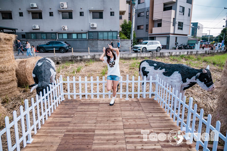 DSC_0990 桃園楊梅景點〡2025桃園仙草嘉年華〡仙草花浪漫席捲, 酷洛米可愛爆擊, 紫色炫風來襲, 季節限定美景, 高鐵同框超加分, 親子賞花推薦