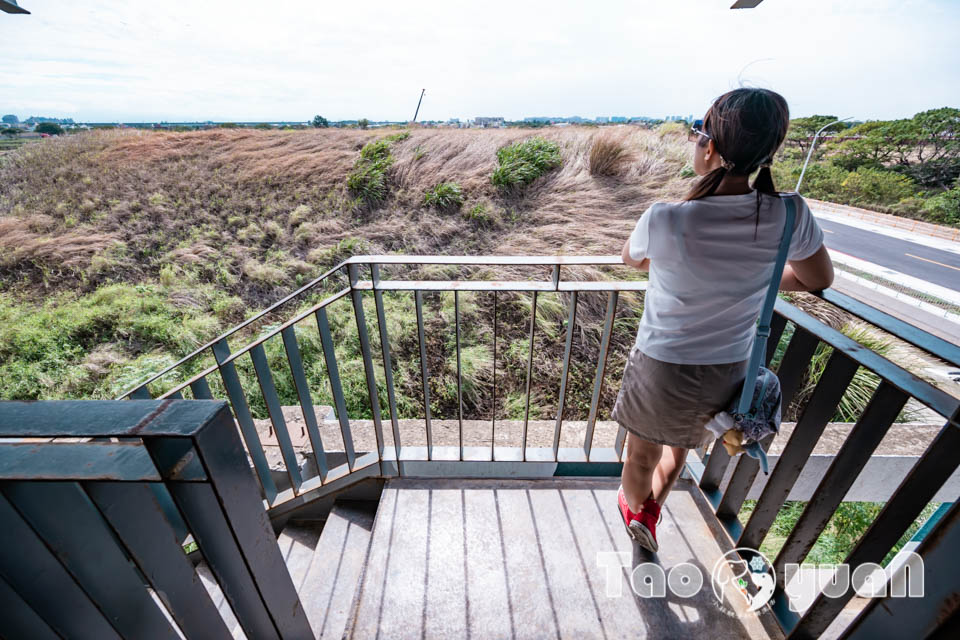 DSC_9985 桃園大園景點〡航空城博物館園區〡戀戀家園記住家的模樣, 帥氣十足的黑貓軍團守衛隊 ,免門票探索機庫與警戒室, 05機堡公園