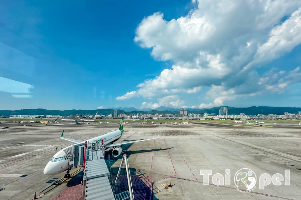 IMG_1639 台北松山景點〡松山機場觀景台〡近距離觀察飛機起降, 天空的旅行家日常, 3D飛機彩繪牆美拍一波, 老少咸宜放空景點