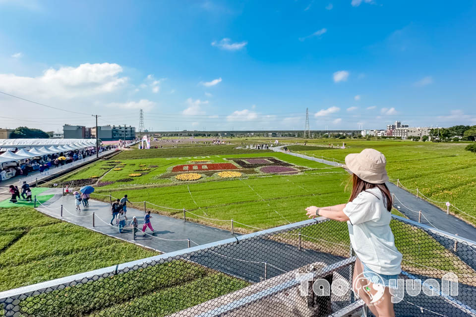 IMG_4735 桃園楊梅景點〡2025桃園仙草嘉年華〡仙草花浪漫席捲, 酷洛米可愛爆擊, 紫色炫風來襲, 季節限定美景, 高鐵同框超加分, 親子賞花推薦